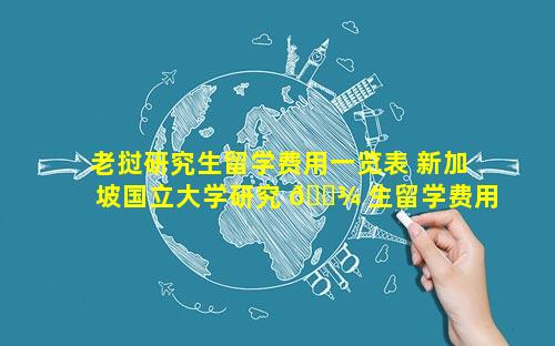 老挝研究生留学费用一览表 新加坡国立大学研究 🌾 生留学费用一览表